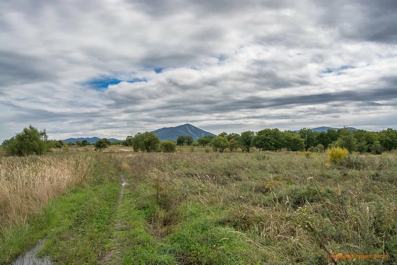 природа города арсеньева. арсеньева деревня. село пухово приморский край. деревня арсеньева. деревня арсеньева.