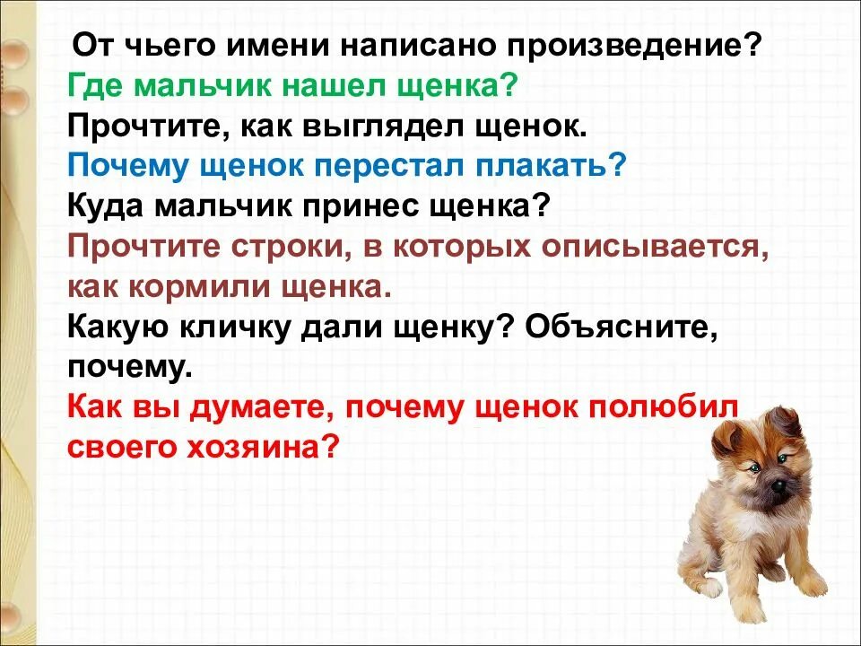 Находка тихомиров презентация 1 класс школа россии. Мальчик нашел щенка. План рассказа находка Тихомиров. Тихомиров находка презентация 1 класс. Рассказ находка 1 класс.