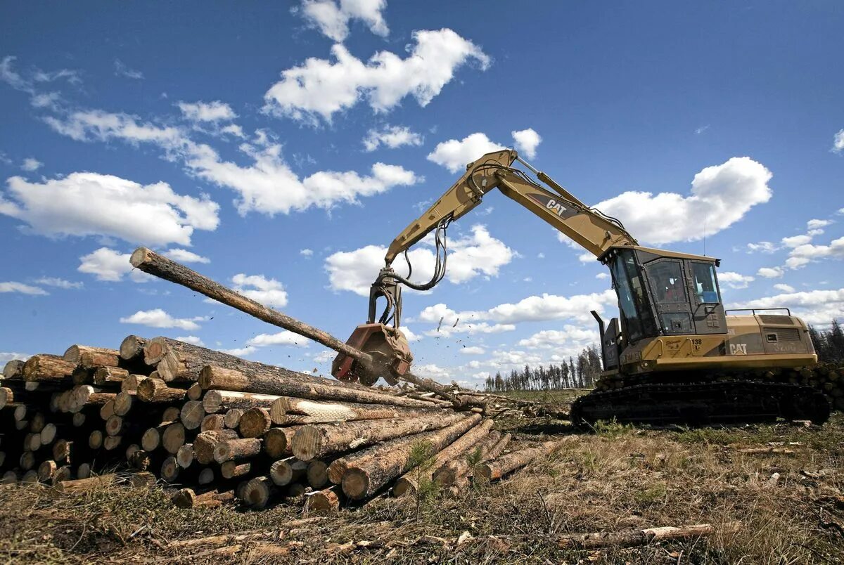 химическая промышленность канады. химическая промышленность канады. канада промышленность. канада промышленность. хим промышленность канады.