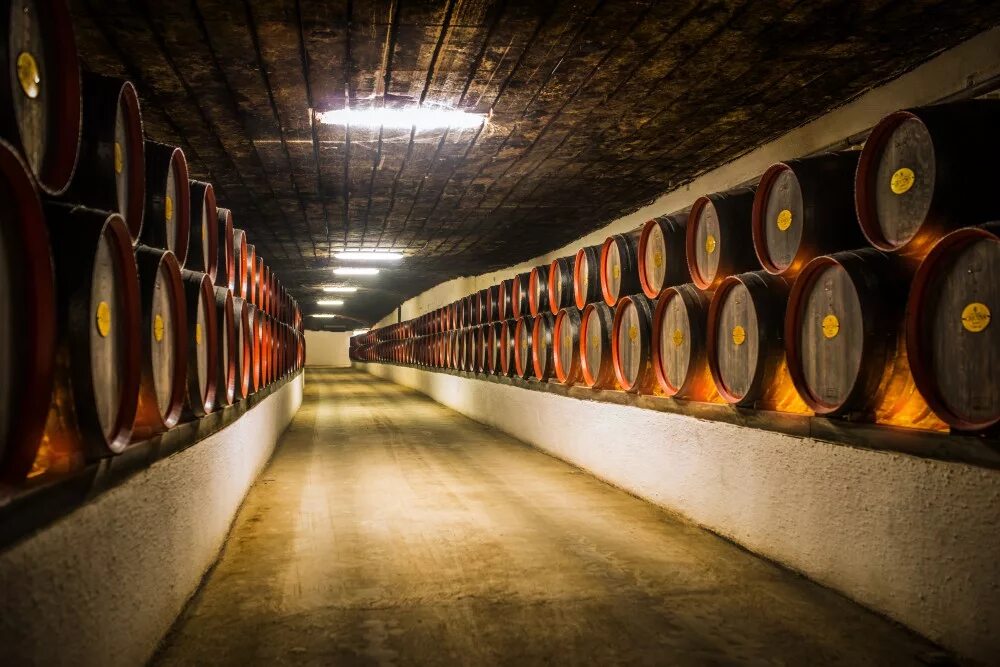 криковские подвалы молдова. винные подвалы криково. винный комбинат крикова в молдавии. подвалы крикова. винные погреба молдавии крикова.