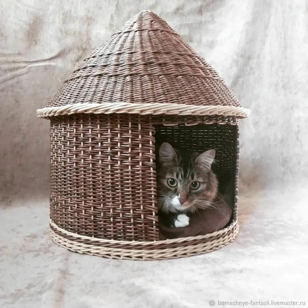 Бумажный домик для котика. Домик кота бумажный. Домик для кошки из картона. Домик для кошки из картона. Картонный домик для кота.