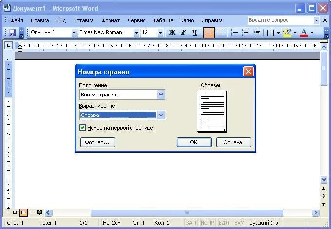 Как пронумеровать 1 страницу. Как проставить нумерацию в Ворде. Проставить в Ворде 2007 нумерацию страниц. Номер страницы в Ворде снизу. Проставить нумерацию страниц в Ворде с первой страницы.
