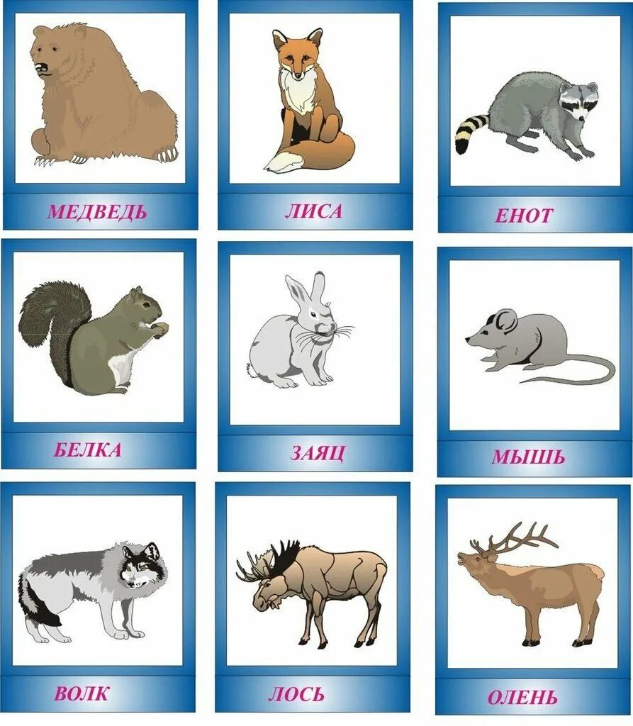 Домашние животные дикие животные карточку. Карточки с животными. Карточки с животными для малышей. Карточки "Дикие животные". Лесные животные карточки.