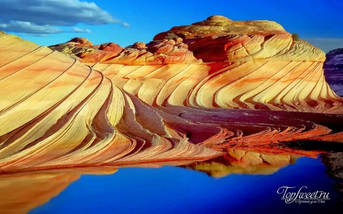 самые удивительные вещи природы. необычные вещи в природе. ленд арт джеймса бранта. гейзер флай невада. природа удивительная вещь.