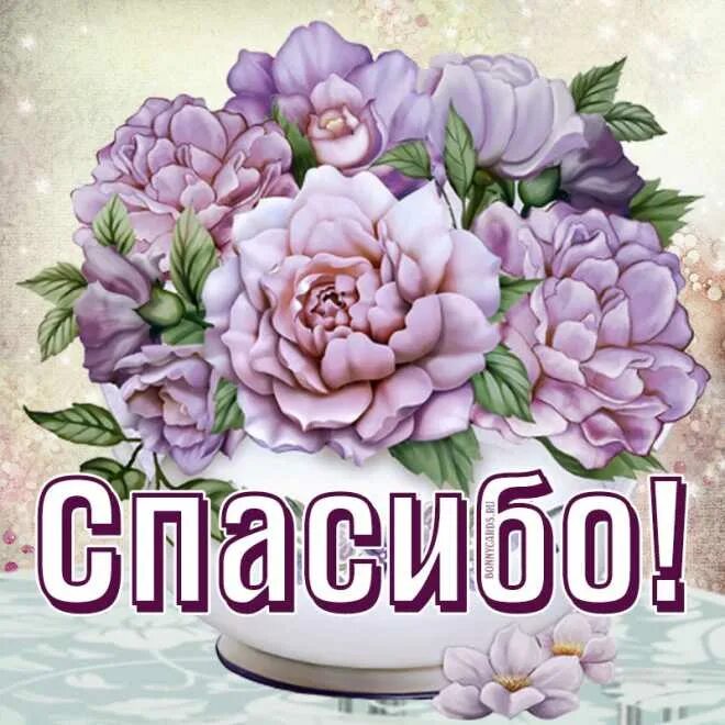 Спасибо милая и вам. Спасибо милая и вам