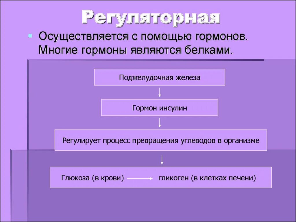 Примеры регуляторных белков. Регуляторная гормоны. гормоны являются белками. регуляторная функция белков гормоны. поджелудочная железа гормоны и функции таблица кратко.