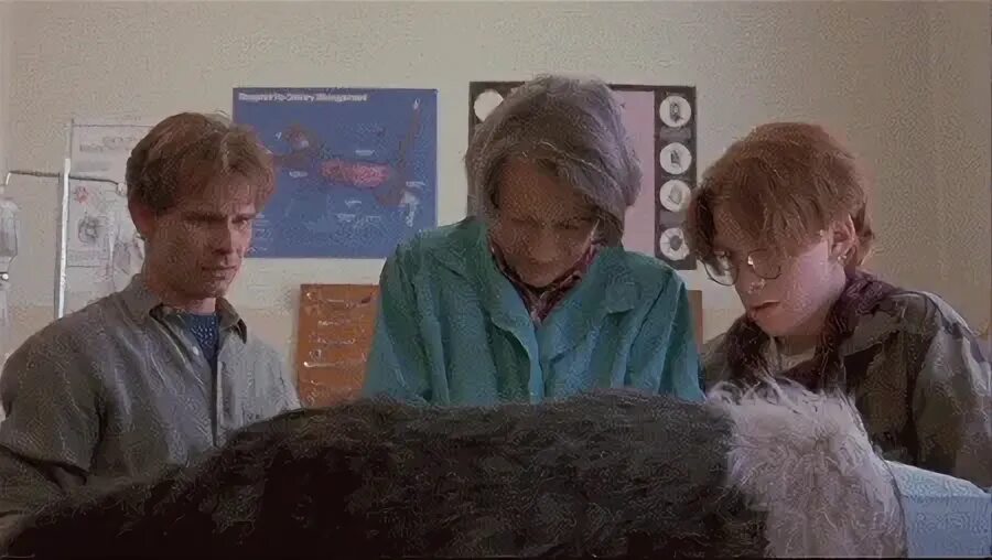 Клещи 1993