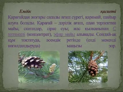 Сексуалды кискалар