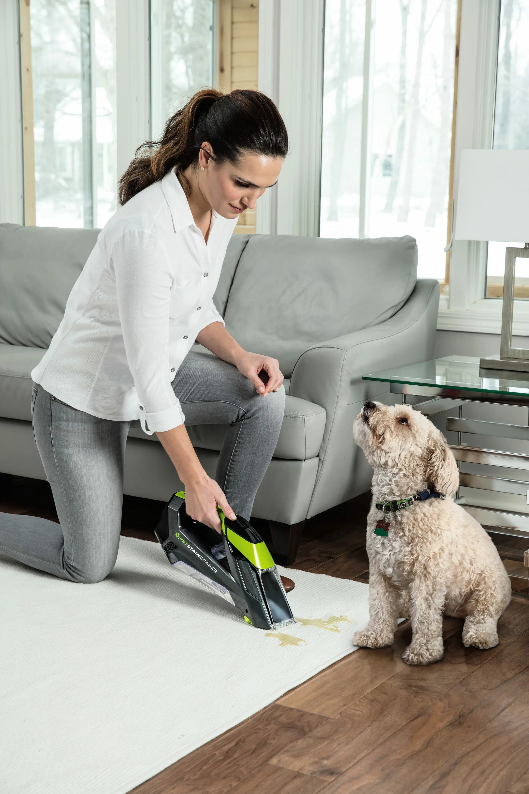 Pet clean. Bissell Cleaner Pet. Bissell Carpet and Upholstery Cleaner. Моющий пылесос Pet. Пылесос для собак.