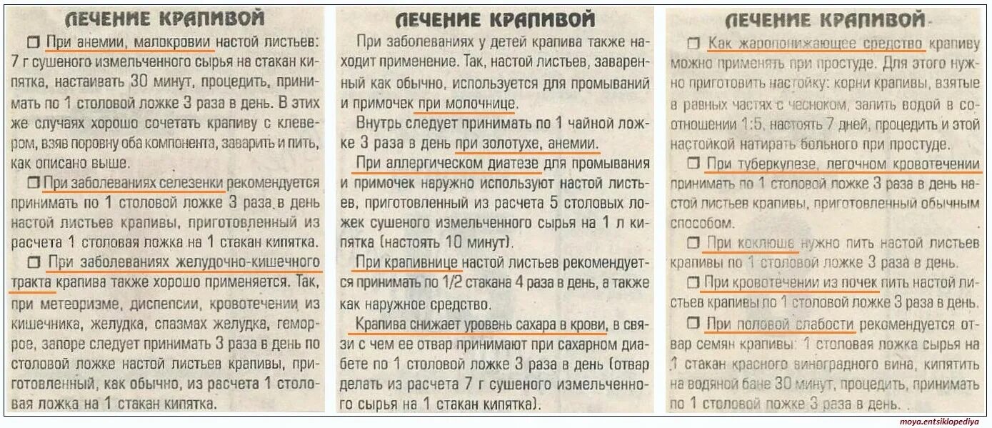 Как пить в 1 раз. Отвар крапивы пить. Отвар крапивы сколько пить. Сколько можно пить крапиву. Сколько дней пить отвар крапивы.