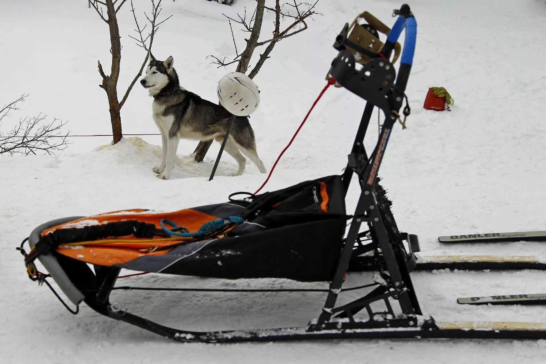 дугокопыльные нарты. нарта собачья. нарта собачья. сани для упряжки собак. нарты альбатрос.