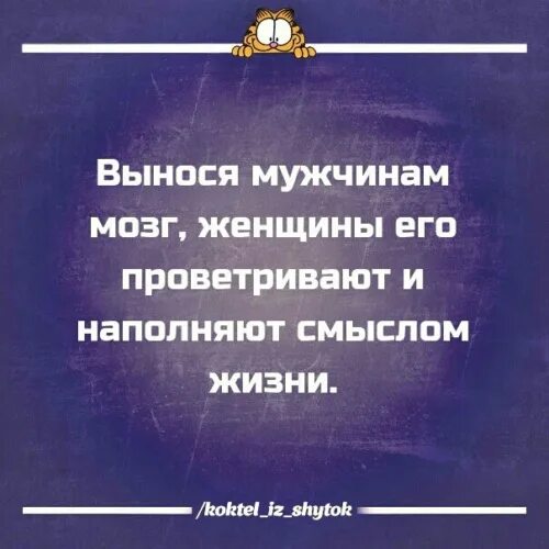 Выношу мозг жене