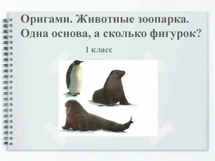 Презентация животные зоопарка