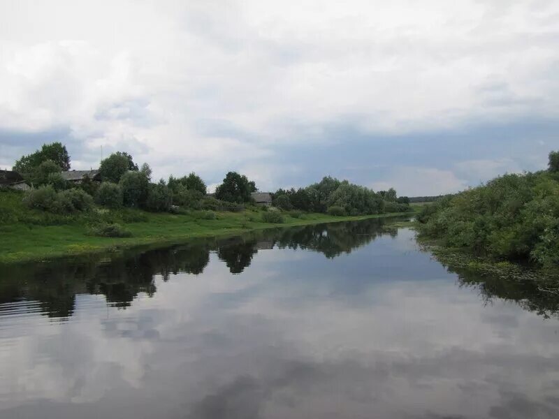 Мста новгородская область. Река Мста. Рыба реки Мста. Мста деревня Городище. Исток реки Мста в Новгородской области.