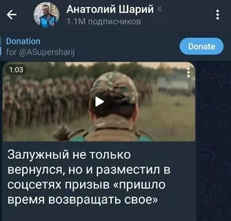 Шарий бахмут