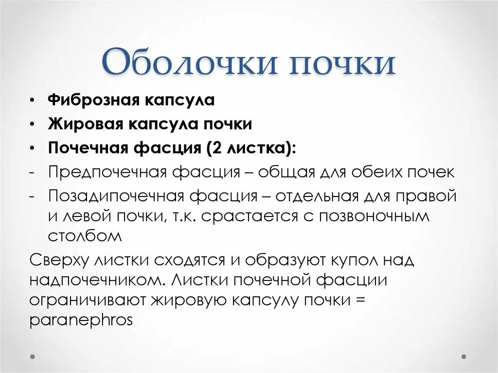 Оболочки почки. Фиброзная оболочка почки. Состав оболочки почки. Функции оболочек почки. Функции фиброзной оболочки