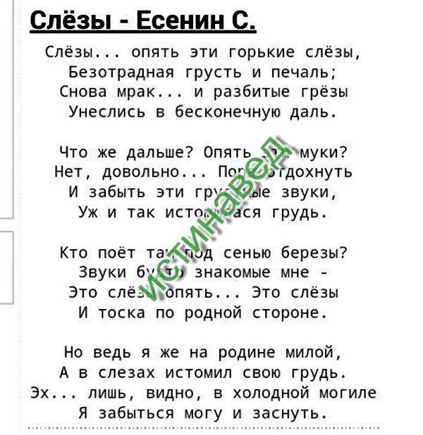 стихи есенина про любовьэ. шел господь пытать людей в любови есенин. стихи есенина о любви к мужчине. стихотворение есенина береза анализ стихотворения. стихи есенина о любви.