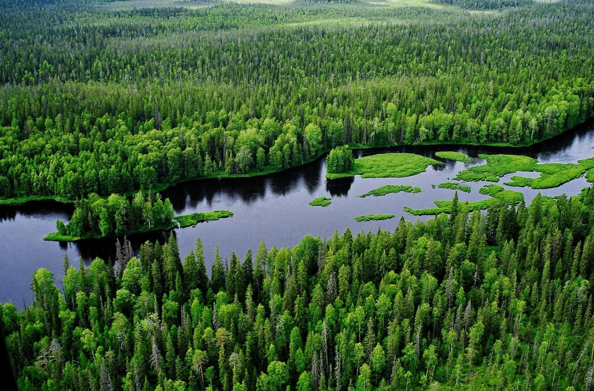 Водлозерский национальный парк. Водлозерский парк Карелия. Девственные леса Карелии. Растительные ресурсы тайги