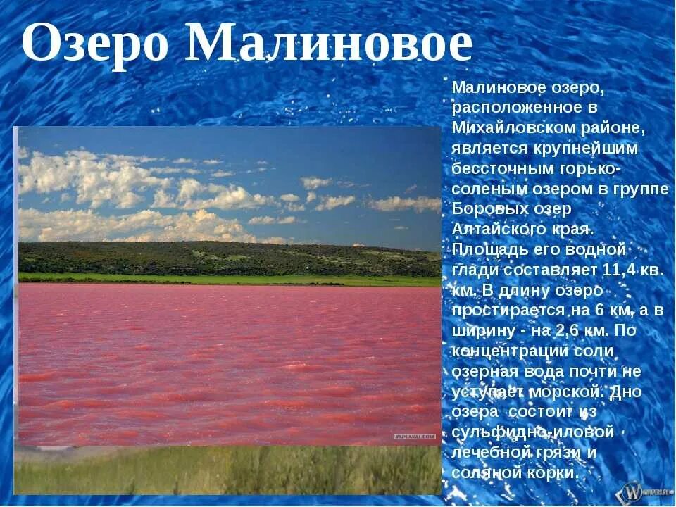 1 любое озеро. Малиновое озеро Михайловский район Алтайский. Малиновое озеро озеро Алтайский край. Малиновое озеро (Михайловский район). Малиновое озеро доклад.