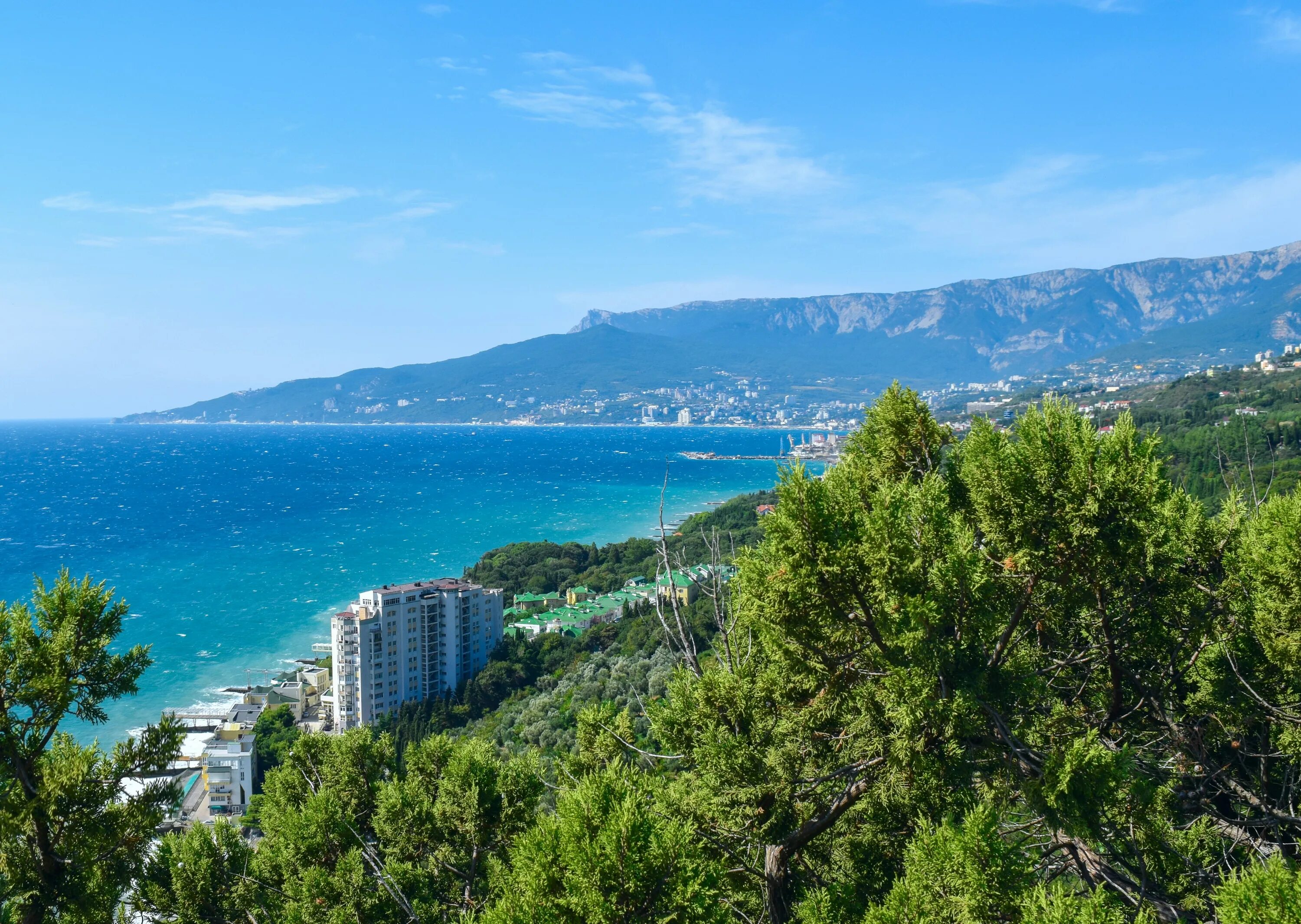 Ялта субтропики. Южный берег Крыма Алушта. Черное море горы Ялта. Сан горный Ялта. Бассейн черноморского побережья