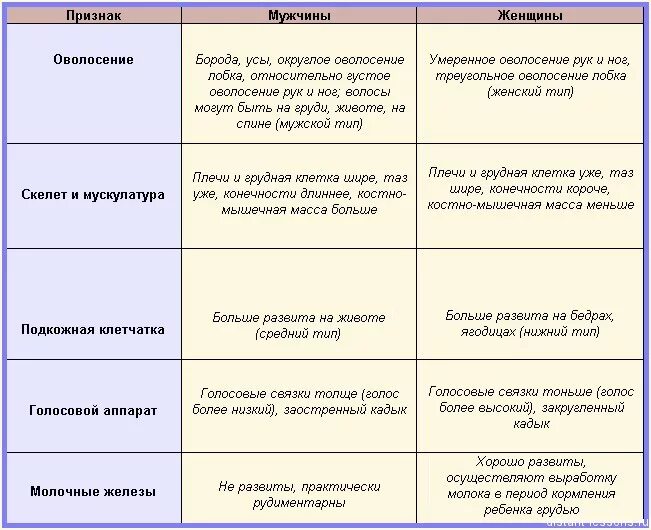 Женская половая система 8 класс. Строение мужской половой системы таблица по биологии. Таблица различия женской половой системы и мужской. Строение половых клеток таблица биология 8 класс. Половая система органы таблица.