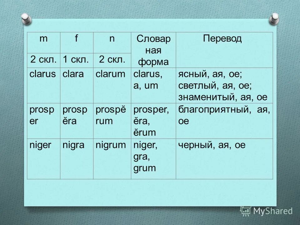 Мужской род 2 класс