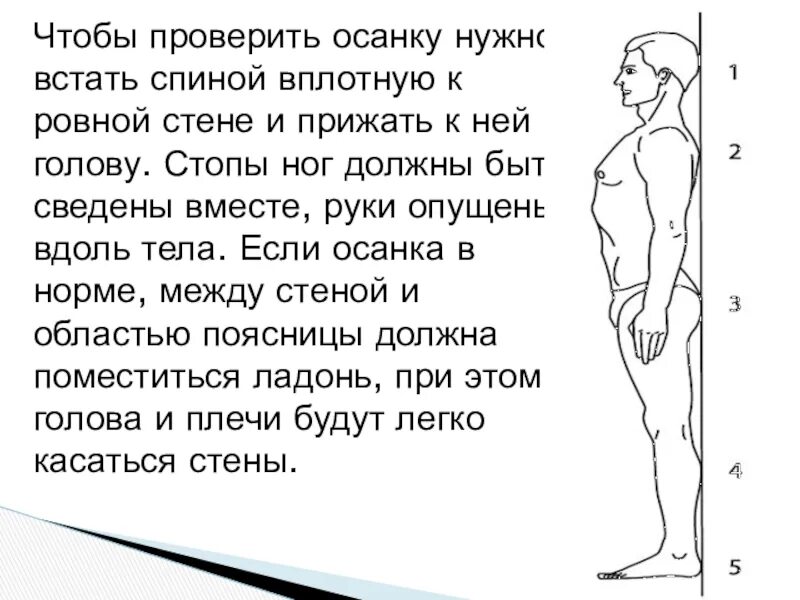 Правильность осанки. Как проверить правильность осанки. Упражнения для проверки осанки. Тест на правильность осанки. Прижмитесь правой стороной