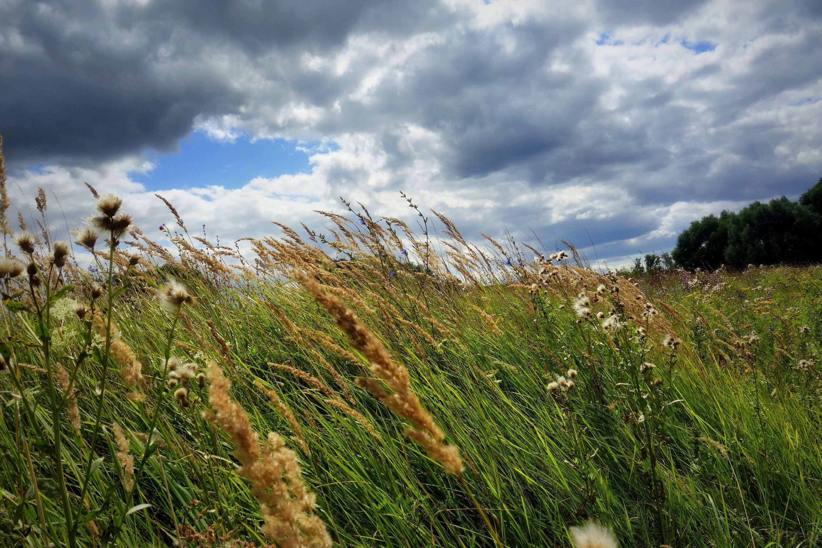 поле поле свежий ветер