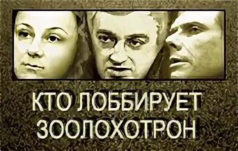 светлана карпова зоозащита. центр правовой зоозащиты. кулагин центр правовой зоозащиты. зоомагазин нягань. центр правовой зоозащиты.