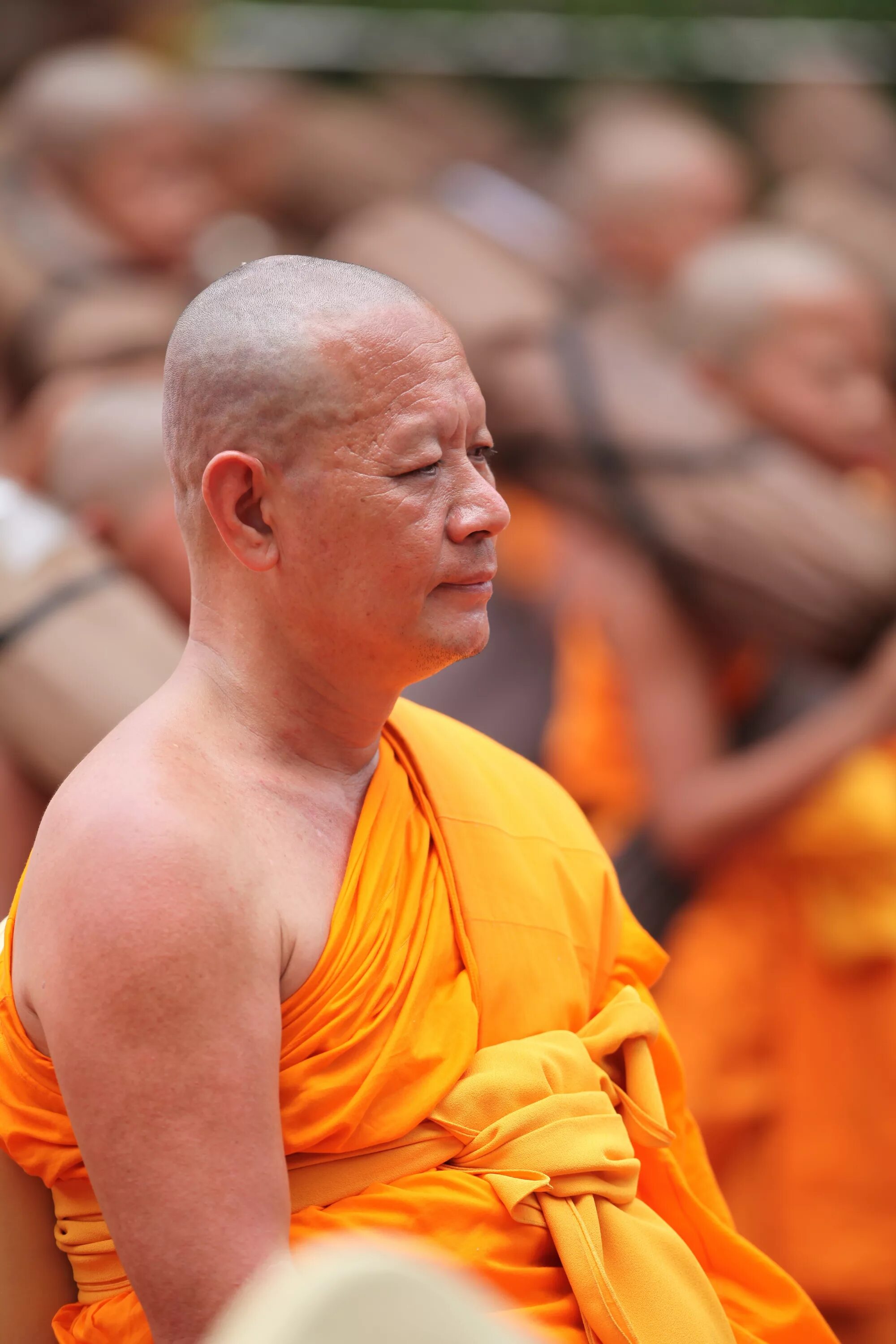Монах медитирует лысый. Буддистский монах желтый Сегун. Джим Керри буддийский монах. Буддизм монахи.