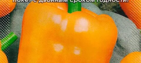 Отзывы перец лисий хвост
