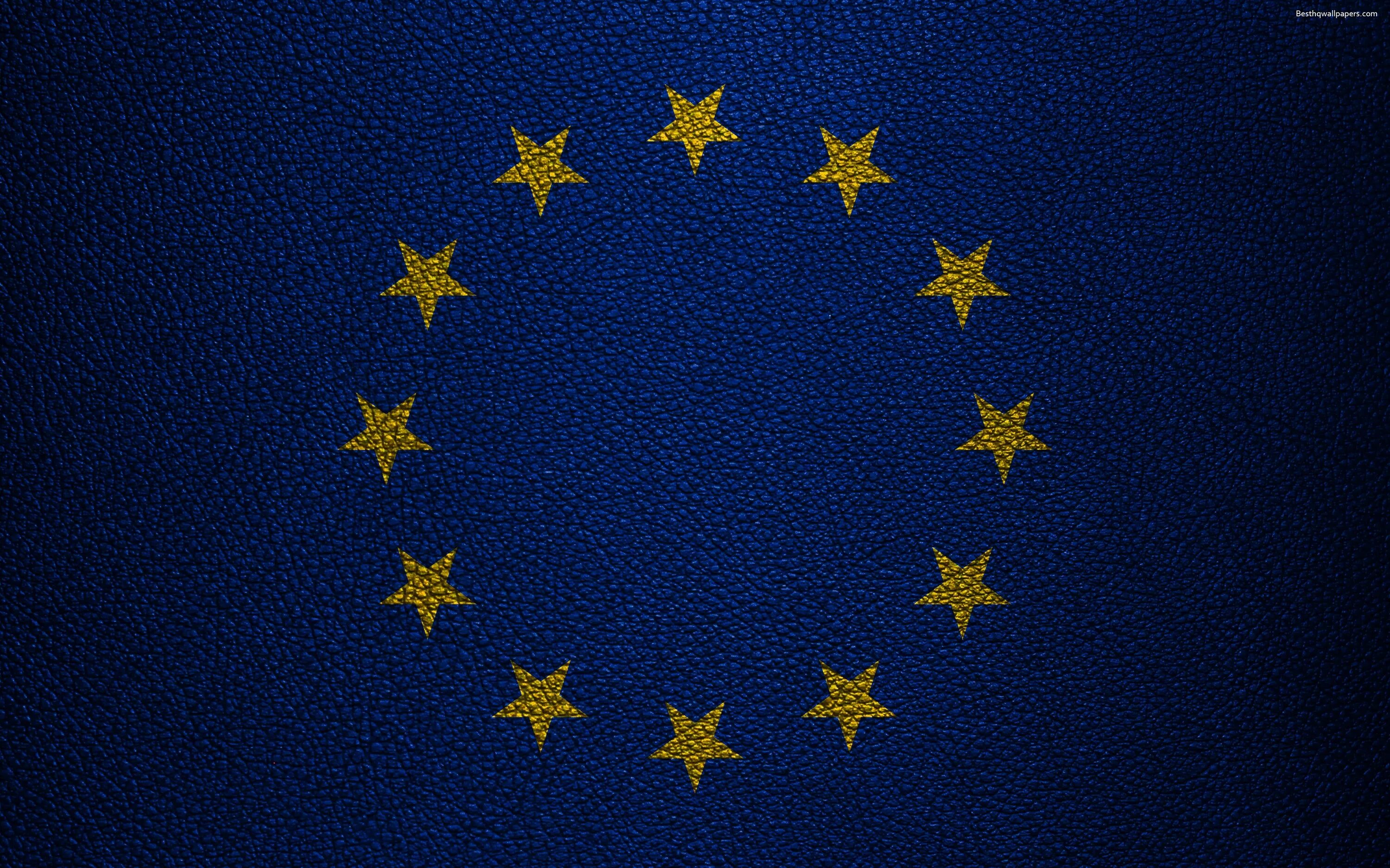 Eu union. Флаг европейского Союза. Флаг Союза Европы. Флаги Европы. Флаг Europe Union.