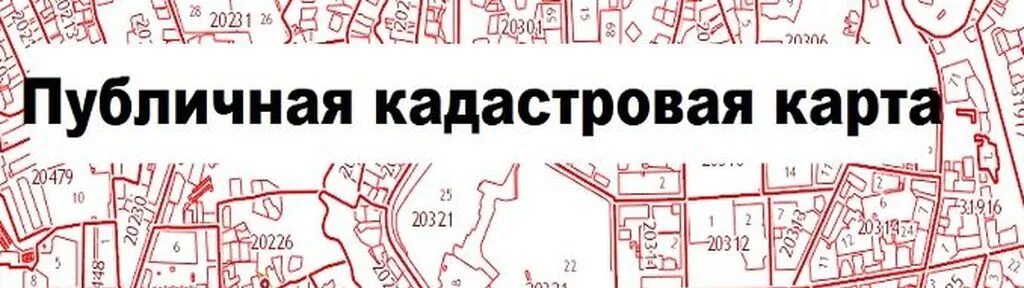 Кадастровая карта. Публичная кадастровая карта. Росреестр публичная кадастровая карта. Публичная кадастровая карта картинки. Единый кадастровый сайт