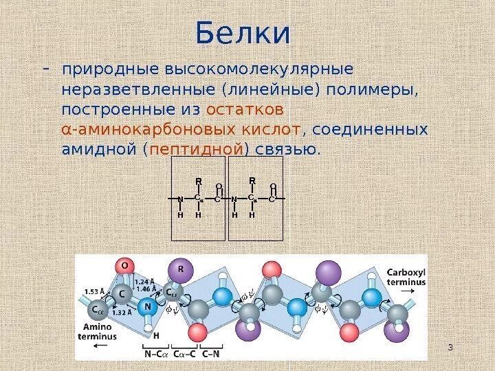 Белки высокомолекулярные соединения. Белок полимер. Белки природные полимеры презентация. Белки природные полимеры. Высокомолекулярные белки.