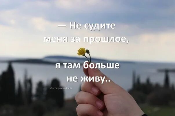 Я там сужу