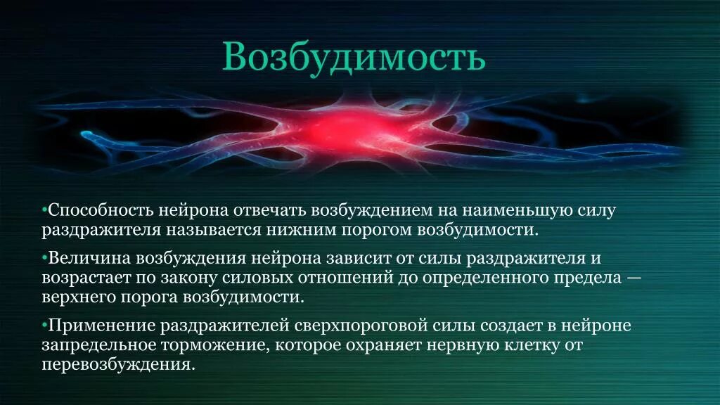 Отличается повышенной возбудимостью. Возбудимость нейрона. Способность нервной клетки. Понятие о возбудимости и возбуждении. Возбудимость нервной клетки.