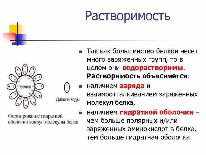 Сложные коллоидные комплексы включающие в себя белков. Формирование гидратной оболочки белка. Белки растворимость. Как образуется гидратная оболочка. Растворимость белков биохимия.