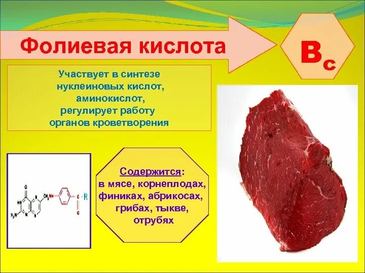 Фолиевая кислота в мясе. Фолиевая кислота участвует в синтезе нуклеиновых кислот. Фолиевая кислота участвует. Фолиевая кислота в синтезе нуклеиновых кислот.