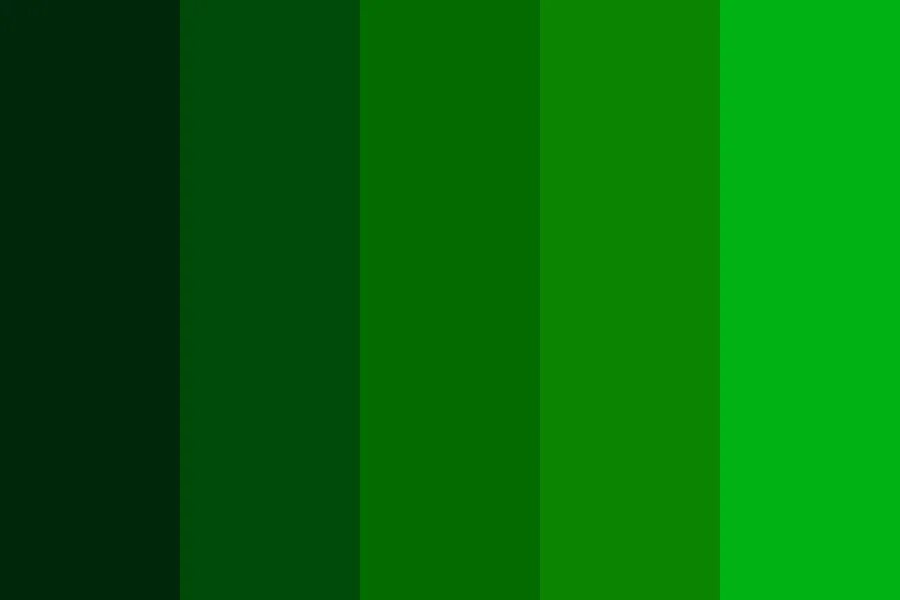 Код темно зеленого цвета. Оттенки темно зеленого. Зеленая палитра. Палитра зеленых оттенков. Темно зеленый цвет палитра.