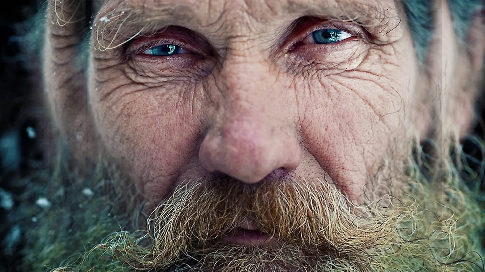 Седые старцы