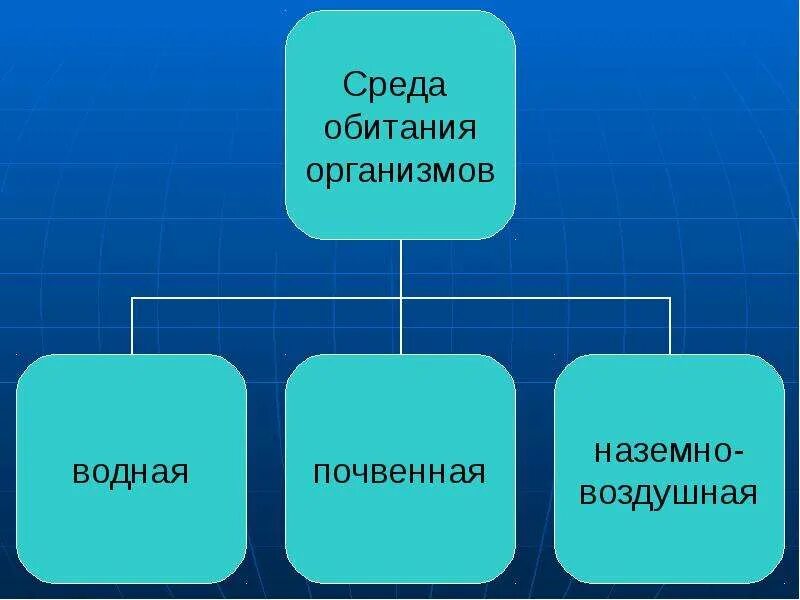 Ресурсы среды обитания 5. Среды обитания организмов. Среда обитания интеллектуальная карта. Разрушение среды обитания. Интеллектуальная карта среды обитания организмов.