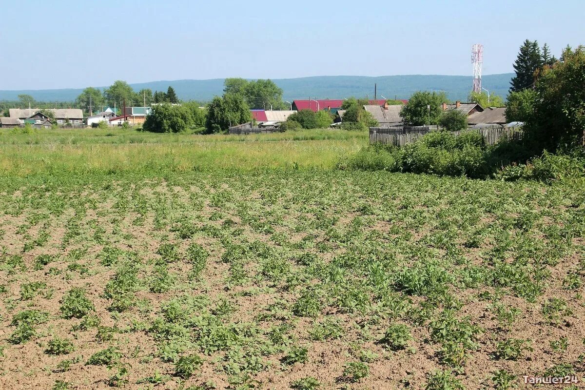 заполье участки многодетным. участки для многодетных семей в полушкино. земельные участки многодетным семьям бурашево. участки для многодетных семей. участки многодетным.