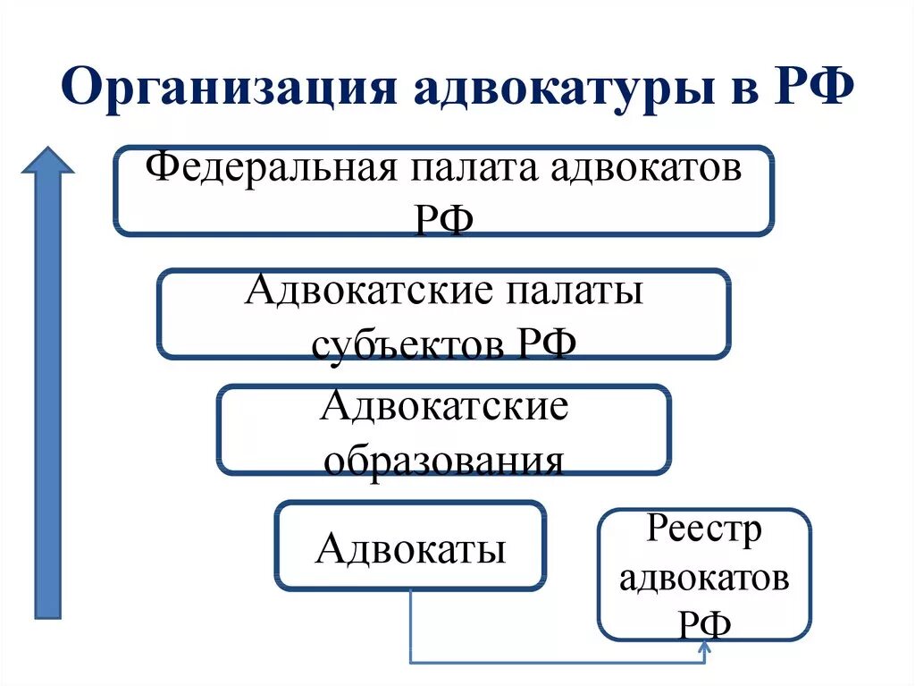 Схема организации органов адвокатуры в РФ. Схема формы адвокатских образований. Федеральная палата адвокатов РФ схема. Организационная структура адвокатской деятельности схема.