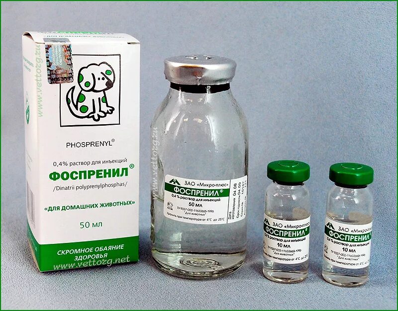 Фоспренил для кошек для чего. Лекарство для собак фоспренил. фоспренил, 10 мл. фоспренил противовирусный препарат. антибиотики в ветеринарии.