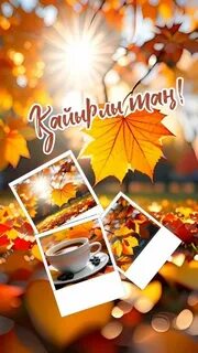 Жалаңаш Лера Бербер