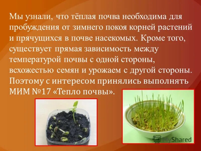 что необходимо для почвы. мероприятия по защите и охране почв. почему надо рыхлить почву. доклад о защите почвы. таблица глубины посева семян.