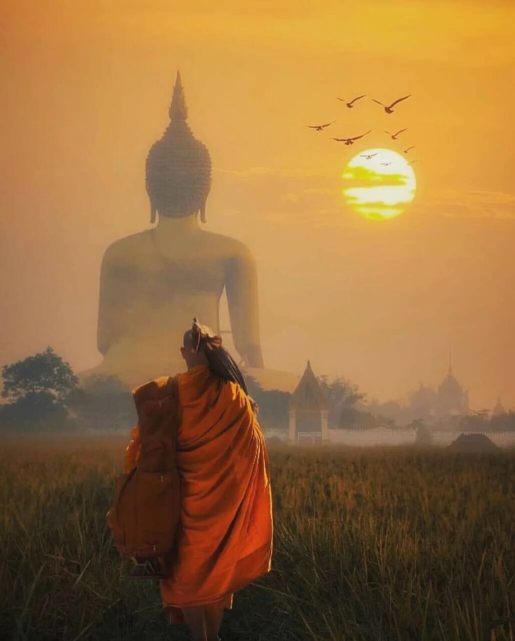 Медитация монах. Буддийский монах медитация. Тибетский монах медитирует. Будда спокойствие. Банк турова дзен молюсь