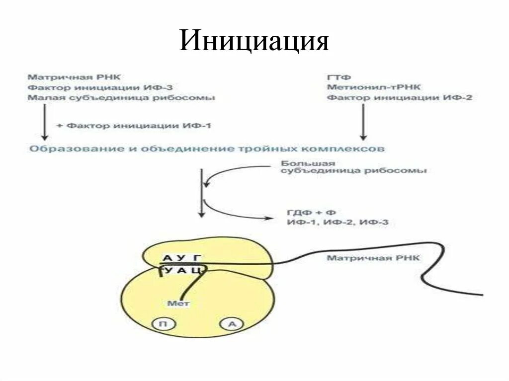 Инициация. Жисициация. Инициация это в психологии. Инициация 5