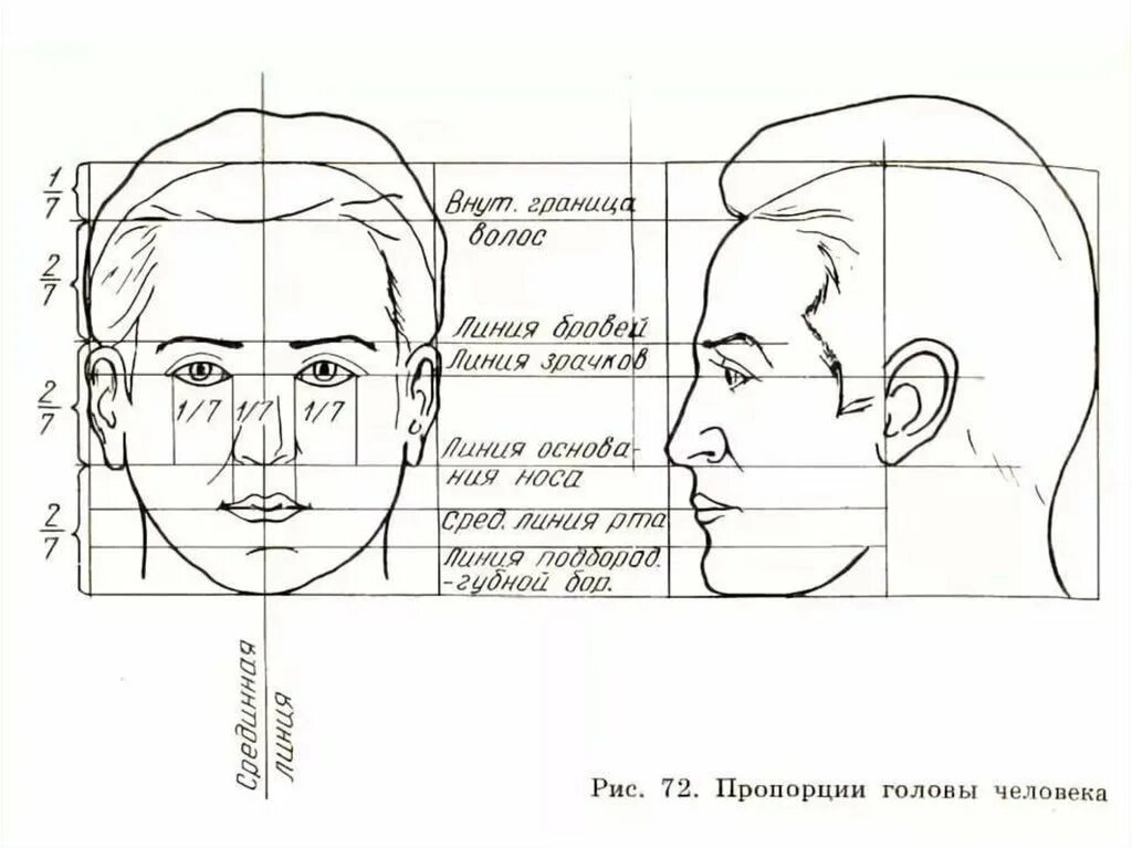 Рисование головы человека пропорции головы. Пропорции портрета человека профиль. Пропорции лица профиль 6 класс. Схема пропорции головы человека нарисовать.