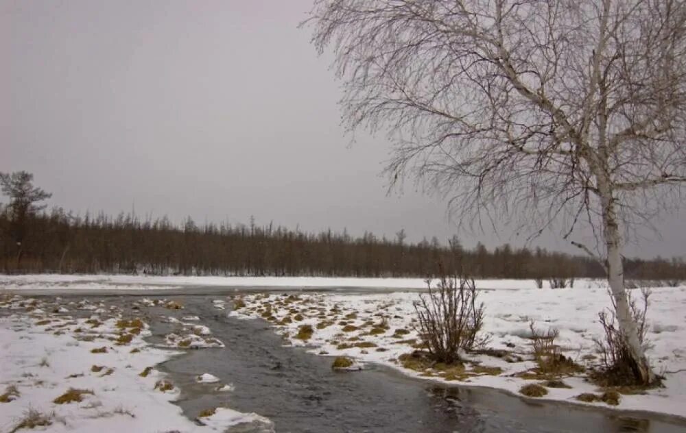 климат якутска. апрель в якутии. весенняя снежинка. климат центральной якутии. апрель в якутии фото.